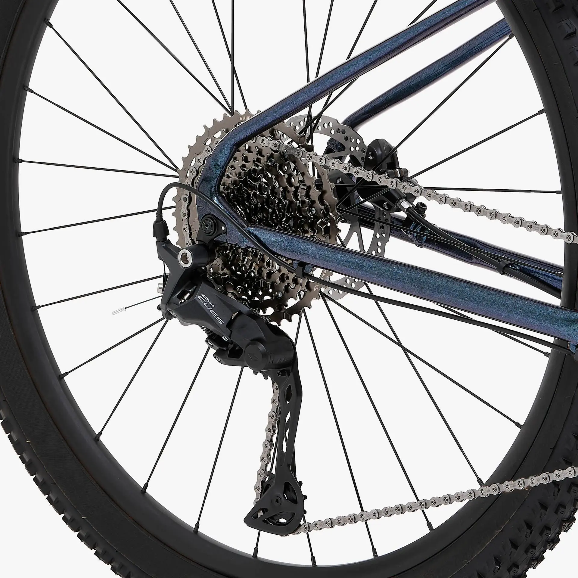 VTT Welt Rambler – Image 3