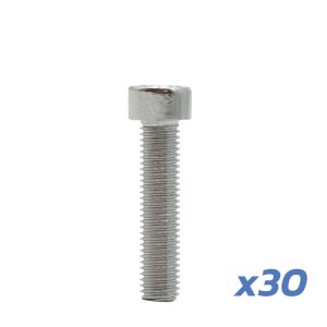 Vis de jante Dualtron Mini – lot de 30 unités