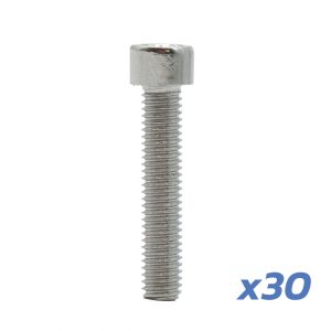 Vis de jante moteur Dualtron (non compatible avec le modèle Mini) – lot de 30 unités