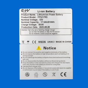 Batterie 52V 17,5Ah pour Dualtron Mini [Ewheel]